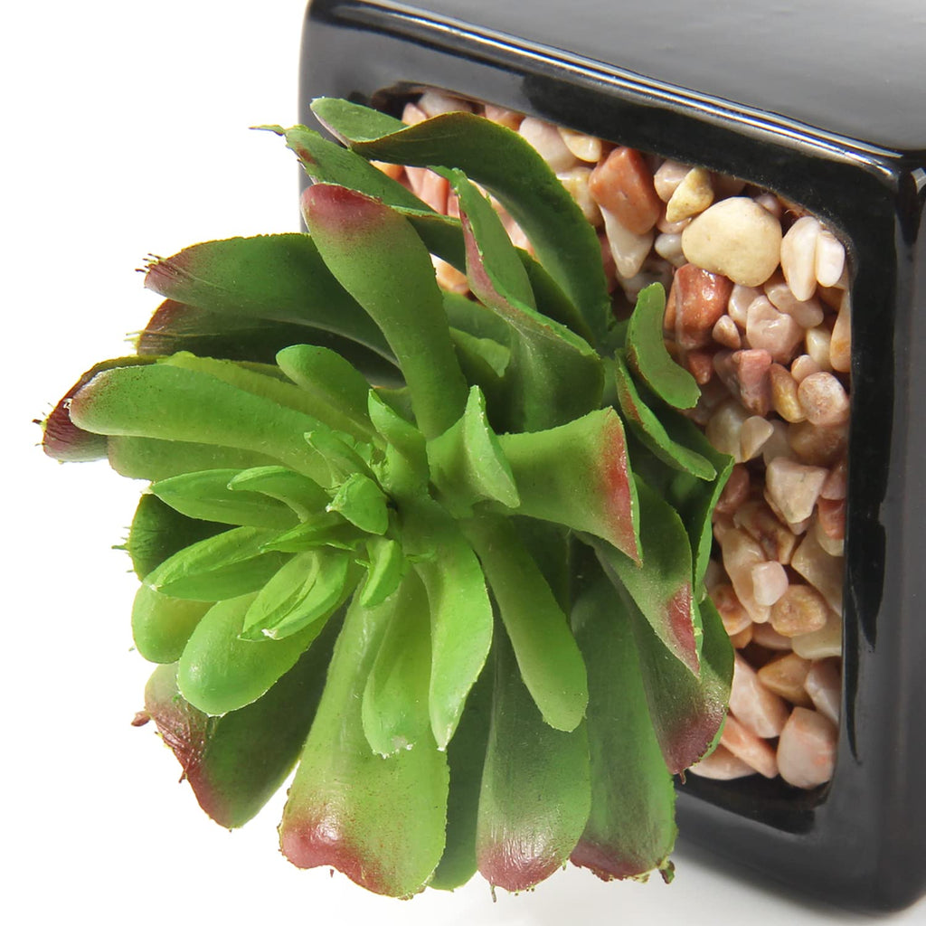 Small Succulents Artificial 3 Pcs Faux Succulents in Pots Fake Succulent Plants with Black Ceramic Pots for Modern