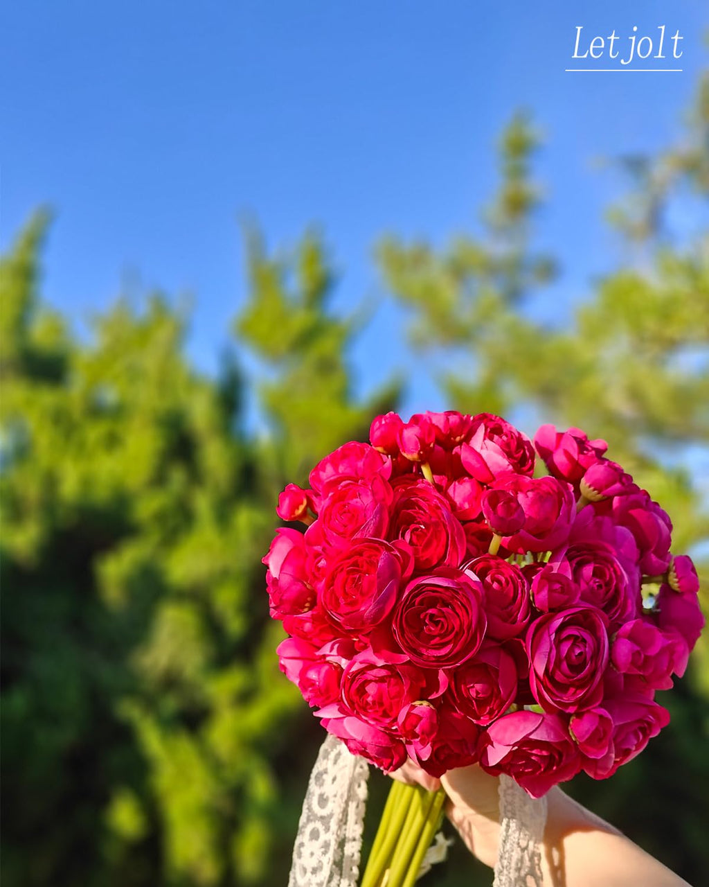 Artificial Ranunculus Flower ROSEO Pink, 18 Pcs