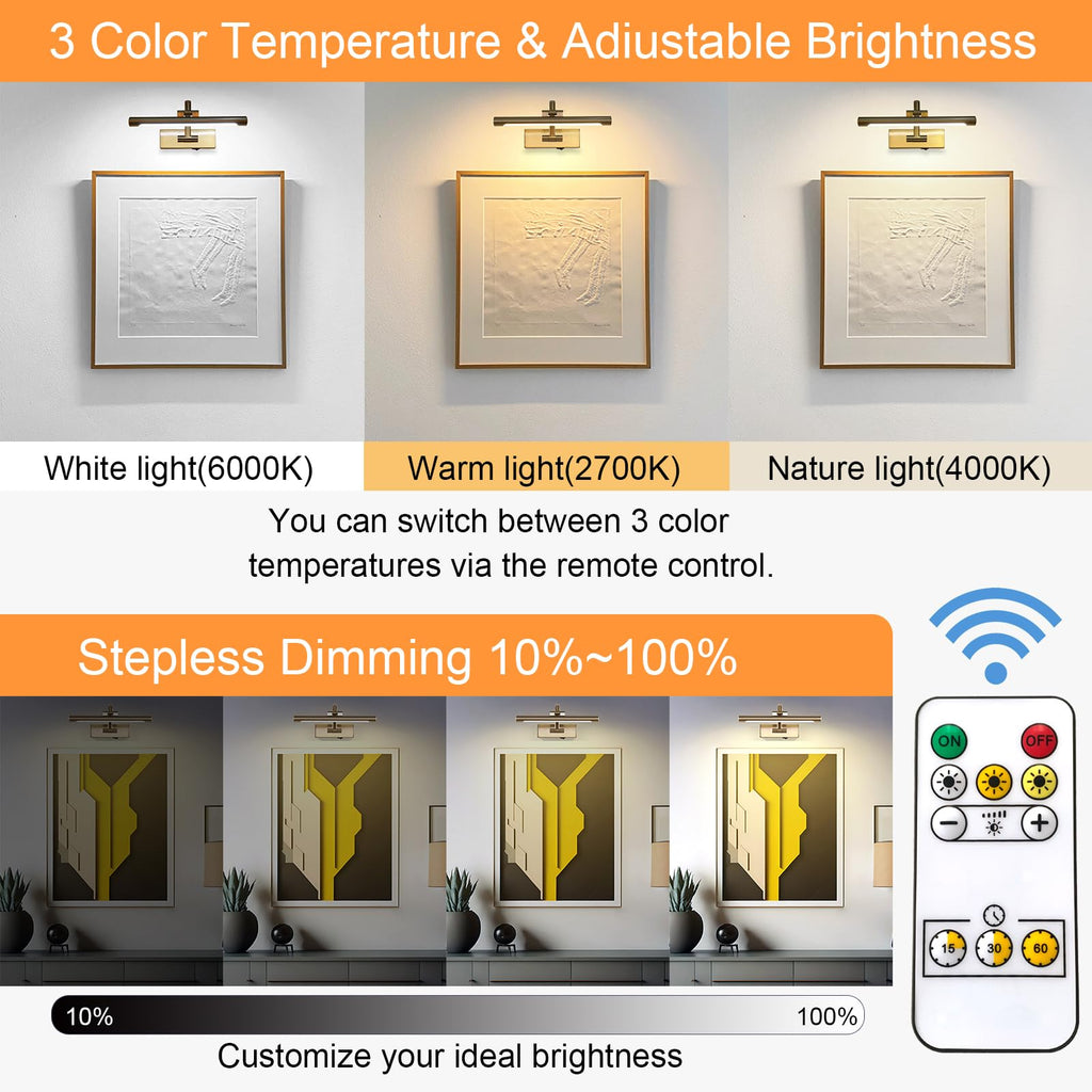 Rechargeable Picture Light with Remote Control,12 Inch Brass Finish Adjustable Wireless Art Lighting Fixture,Painting