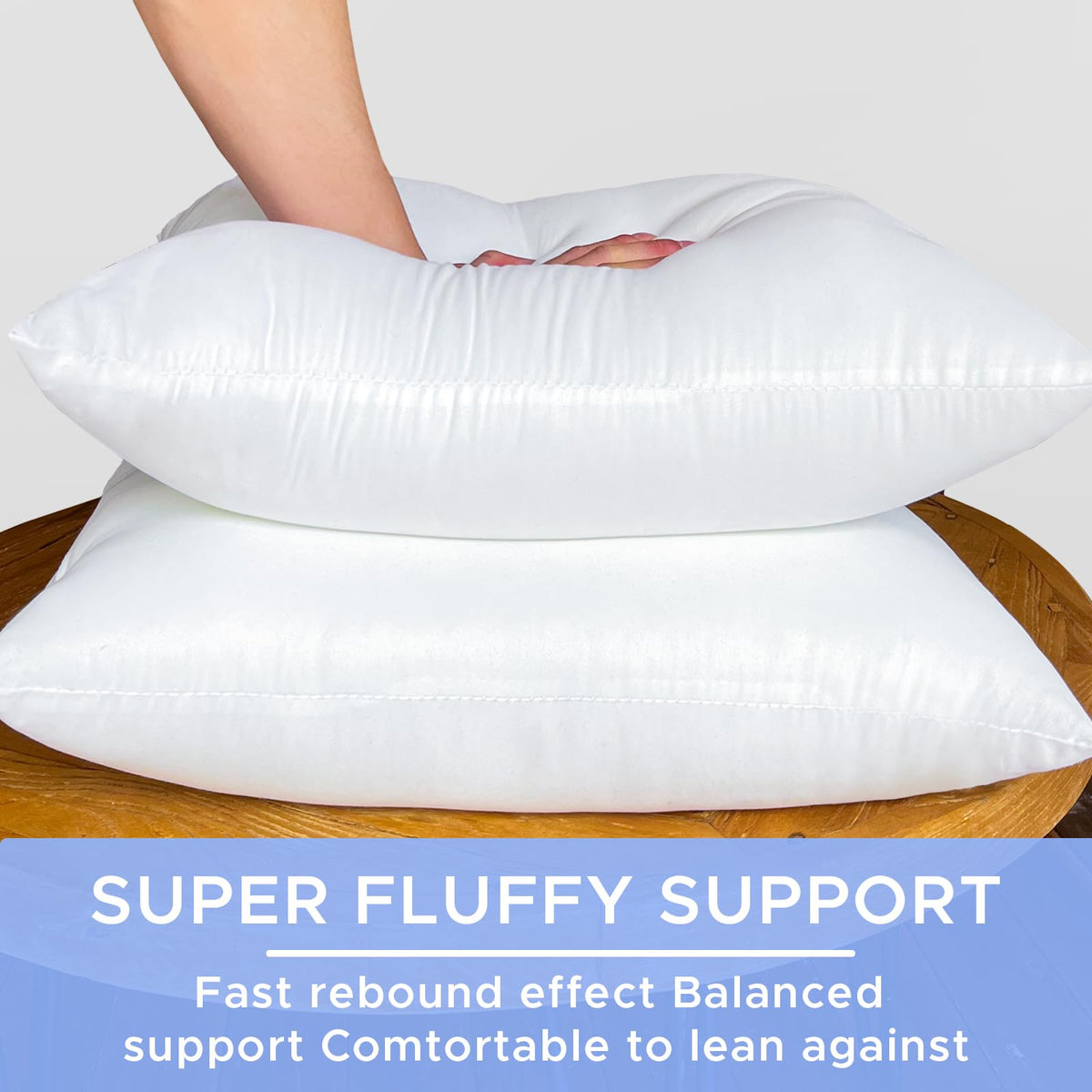 2 Pack Pillow Inserts Waterproof Outdoor 20x20 inch White