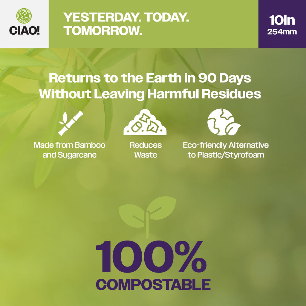 10" Heavy Duty Plate 3 compartment 100% Compostable PFAS Free Unbleached Bagasse Natural White (Pack of 500)
