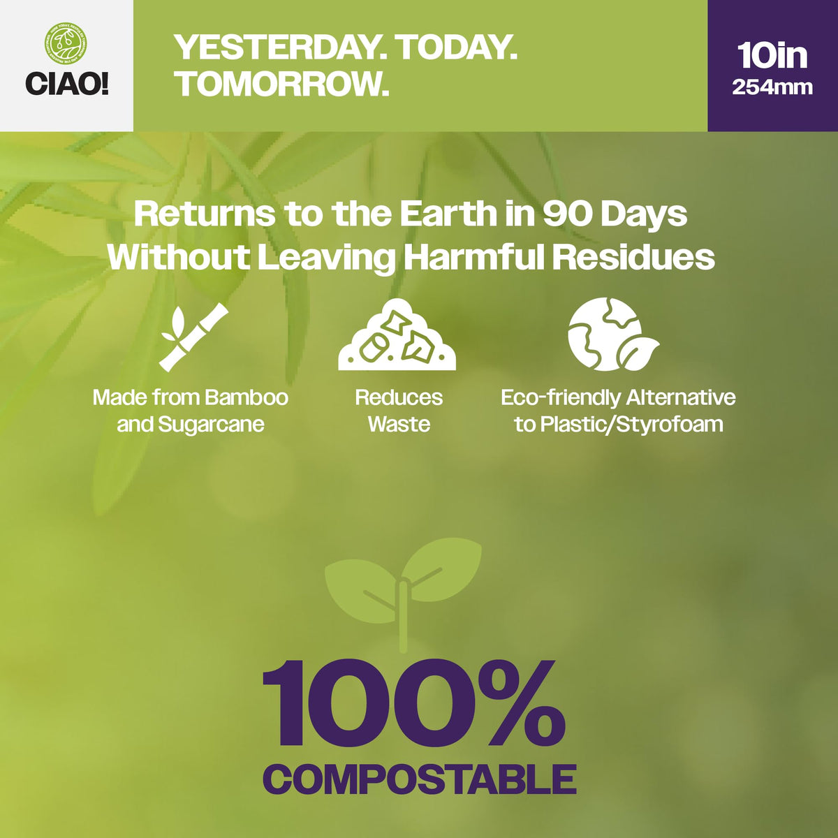10" Heavy Duty Plate 3 compartment 100% Compostable PFAS Free Unbleached Bagasse Natural White (Pack of 500)