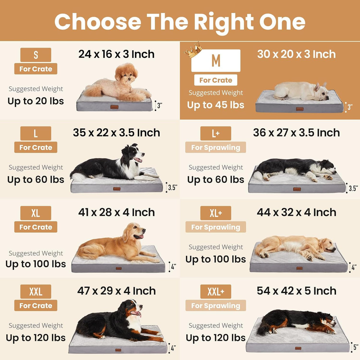 Orthopedic Medium Dog Bed, Reversible Memory Foam, -M(Gray)