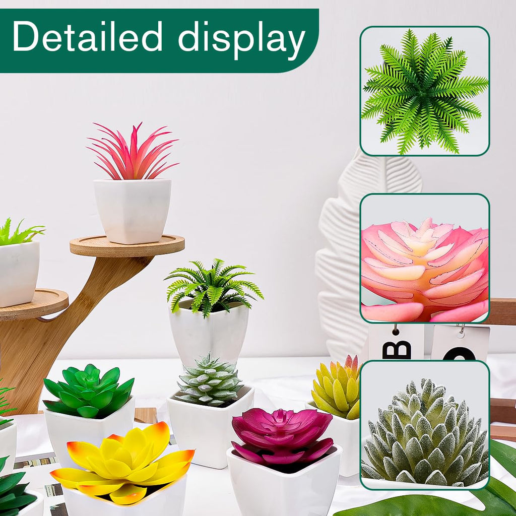 12pcs Mini Artificial Succulents in Pot, Fake Potted Succulent Plant