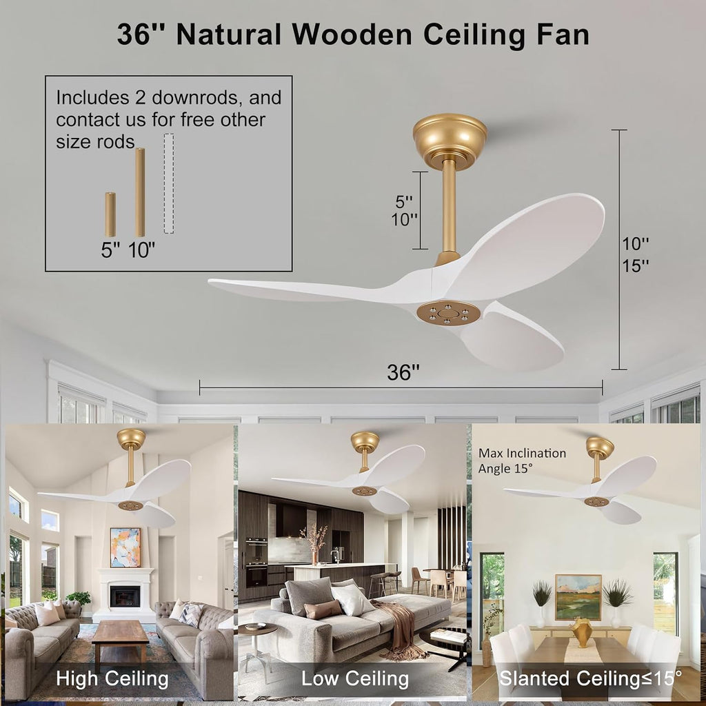 36" Indoor/Outdoor Ceiling Fan with Remote, No Light