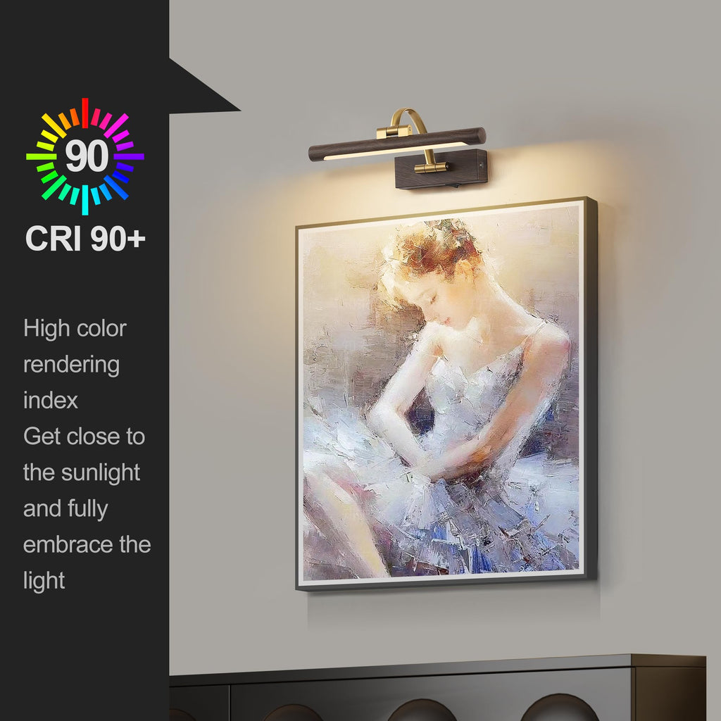 LED Picture Lights for Wall Rechargeable, Battery Operated Art Light for Paintings (Wood Grain, 12inch)