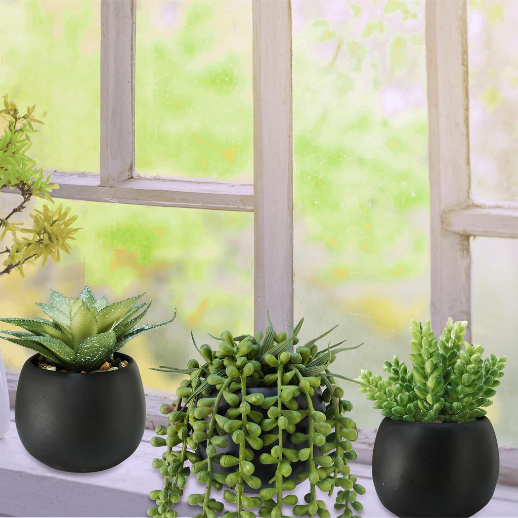 Set of 3 Artificial Succulents Plants in Black Cement Planters Faux Potted Plants Aloe String of Pearls Donkey Tail