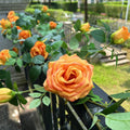 1X6FT Bendable Fake Rose Garland, Flower Garland, Artificial Flower Rose Vine