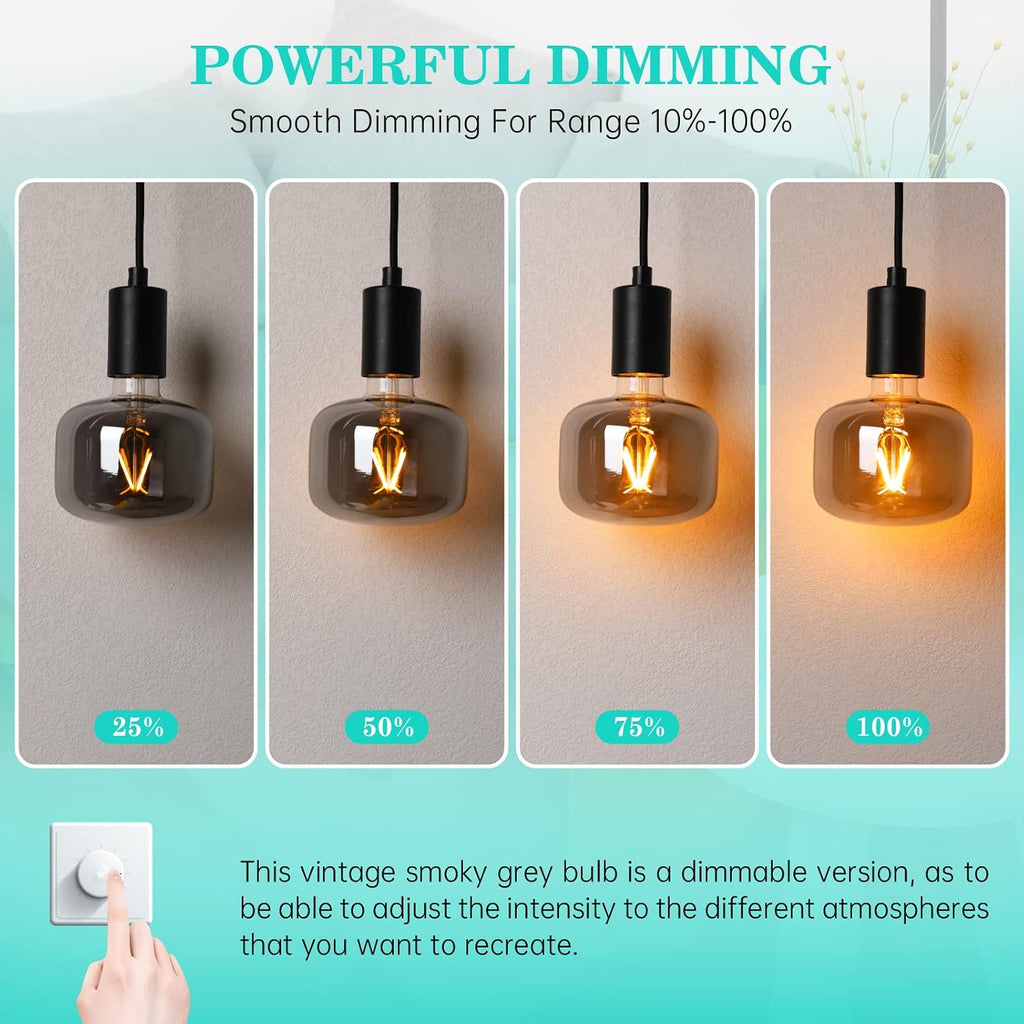 Large Edison Bulbs E26 LED,Smoky Grey 2200K Dimmable 20W Vintage 1PK