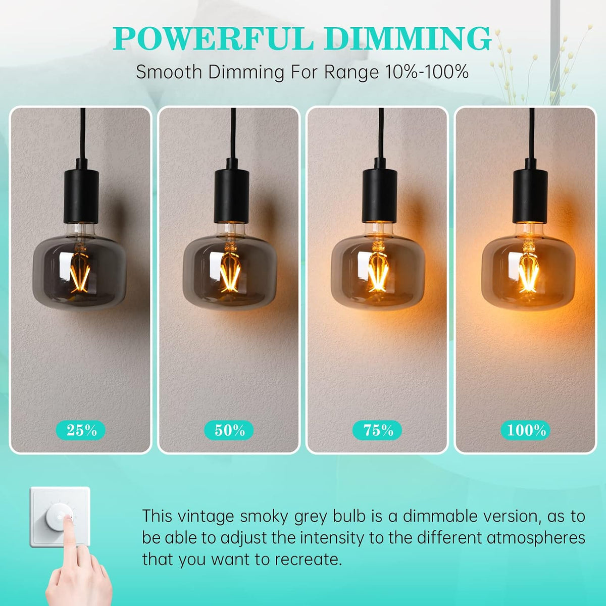 Large Edison Bulbs E26 LED,Smoky Grey 2200K Dimmable 20W Vintage 1PK