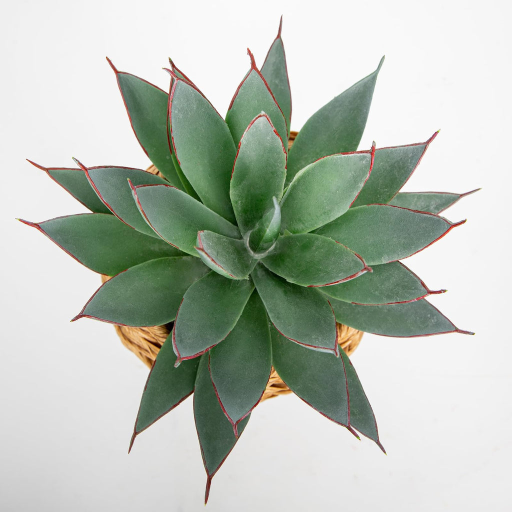Succulents Plants Artificial Decor, Realistic Potted Fake Agave Plant in Wicker Basket, Cute Aloe Maguey Faux Plant