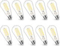 100 Watt LED Bulb, Edison Bulbs, Dimmable Lightbulbs E26, 5000K Daylight White Bright 9W 1100 Lumens, ST21/ST64