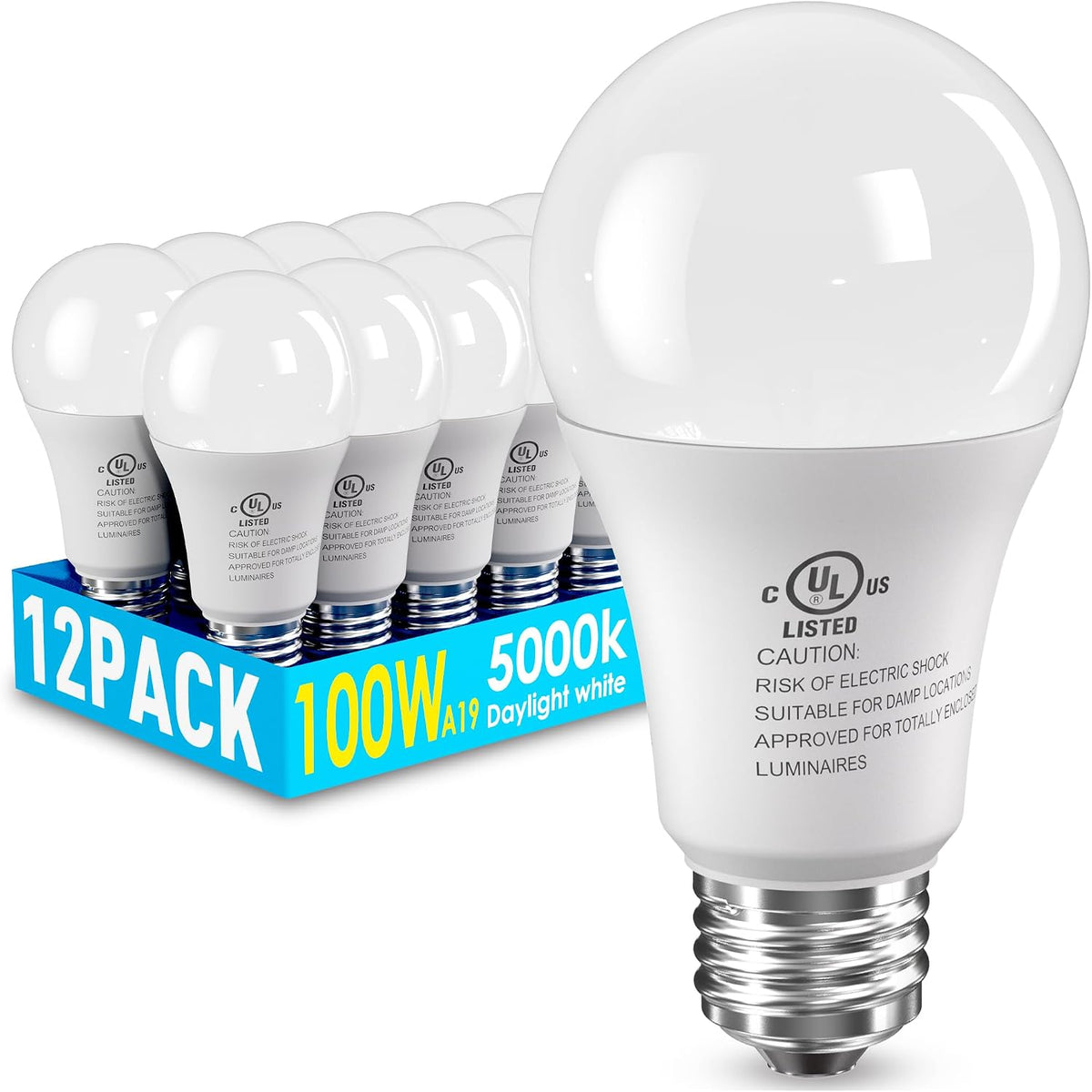 LED Light Bulbs 100 Watt Equivalent, A19 5000K Daylight White