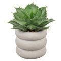 Fake Plants Succulents Artificial Agave Succulent Plants Faux Aloe Potted Plant in White Glaze Ceramic Pot for Desk