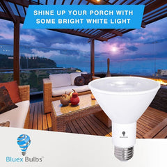 10 Pack PAR30 Outdoor LED Flood Light Bulb 12W 100 Watt Equivalent 900 Lumens Dimmable Waterproof E26 6000K Daylight