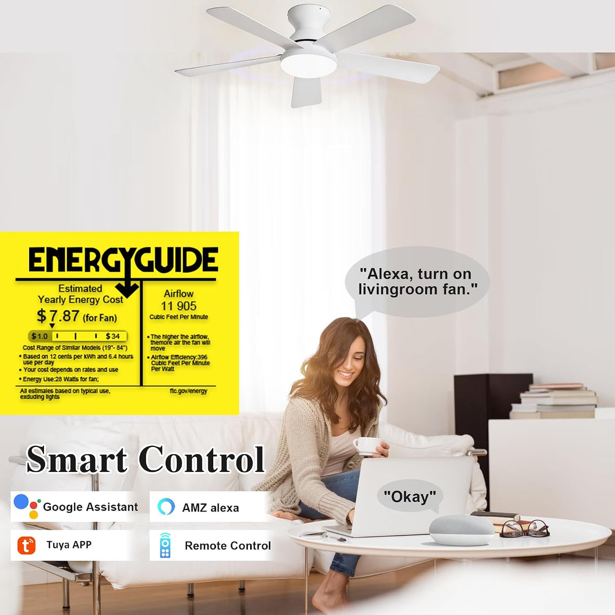 42" Smart Flush Mount Ceiling Fan with Light & Remote