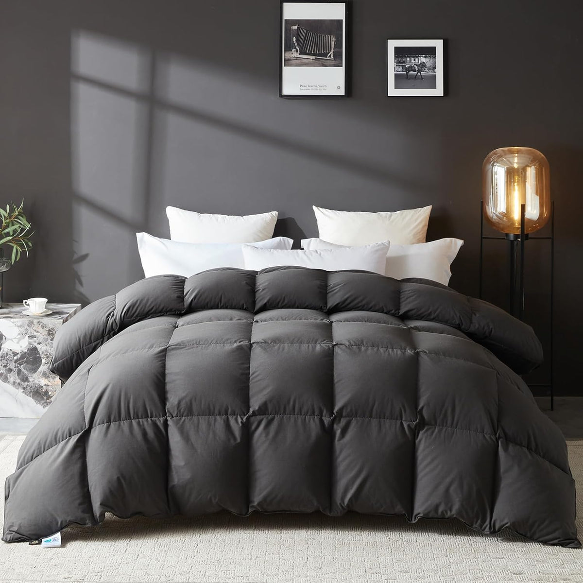 Goose Feather Down Fiber Comforter, 100% Organic Cotton Fabric Duvet Insert,1200TC,750+Fill Power