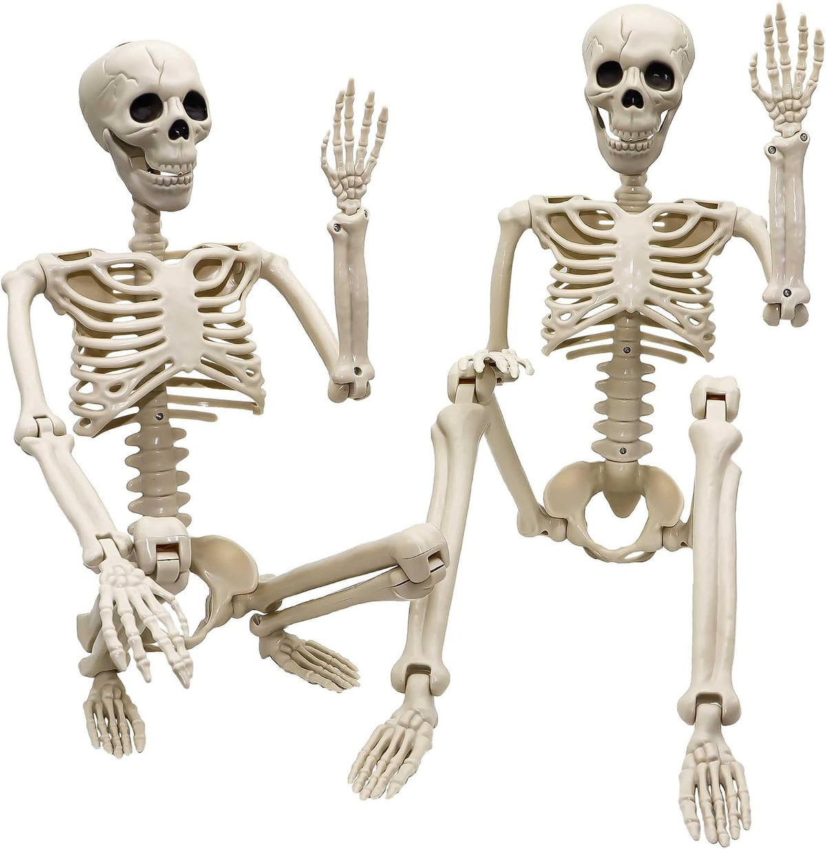 36"Halloween Skeleton - 3 ft Life Size Human Skeleton with Full Body Posable Joints Plastic Skeleton - Set of 2