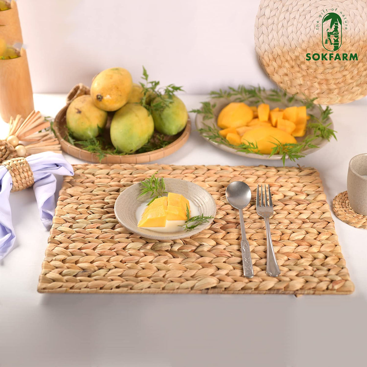 Water Hyacinth Rectangular Placemats Set of 8, 17 x 12 Inch Woven Rattan Table Mats for Dining Table, Heat Resistant