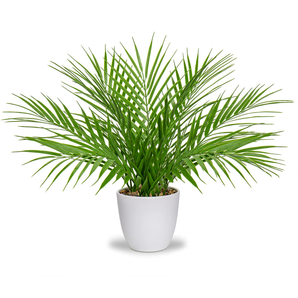 Fake Plant 15'' Artificial Palm Plant in White Pot Real Touch Faux Tropical Palm Tree Houseplant Indoor Living Room