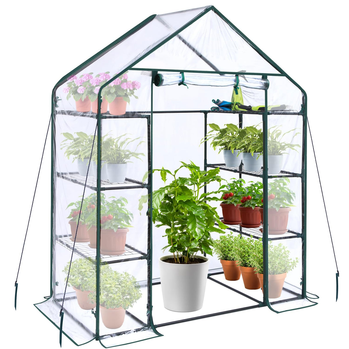 Small Greenhouse for Outdoors: 4 Tiers 6 Shelves Walk-in Indoor Green House Heavy Duty Plant Stands Reinforced