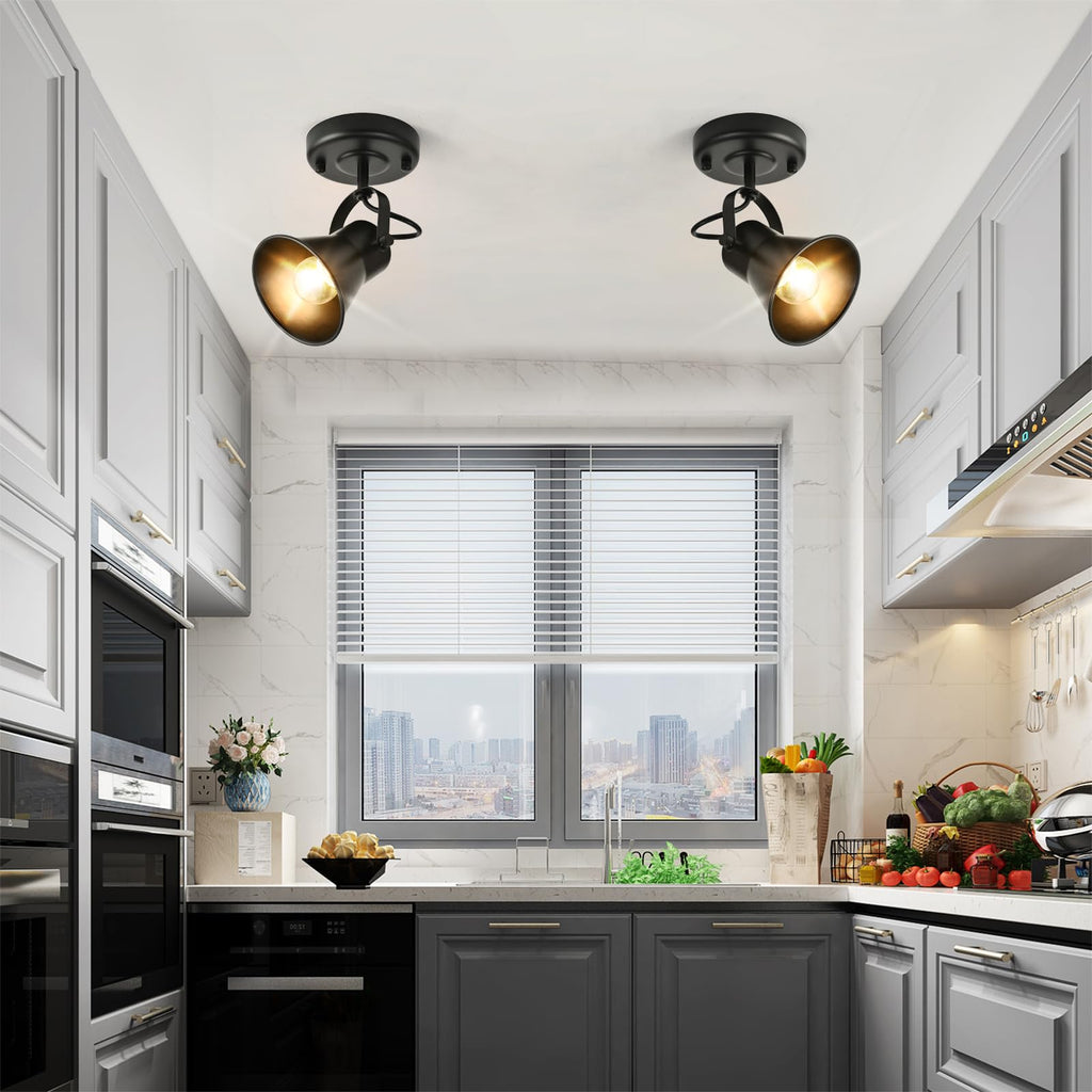 Industrial Mini Track Lighting Ceiling Light, Black Spot Lights Indoor with Multi-Directional Adjustable Light Head