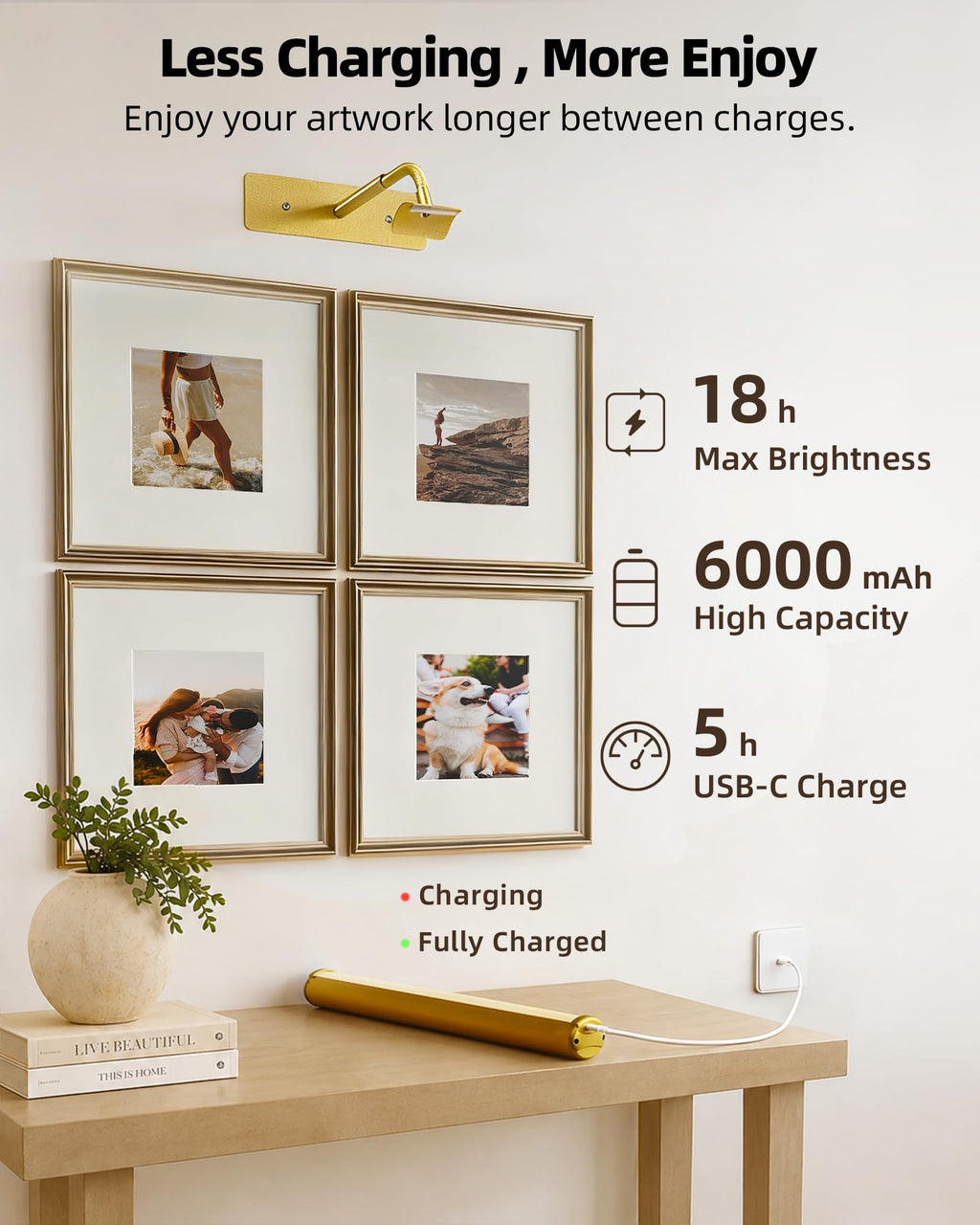 16'' Picture Lights for Wall, 6000mAh Rechargeable Art Lights