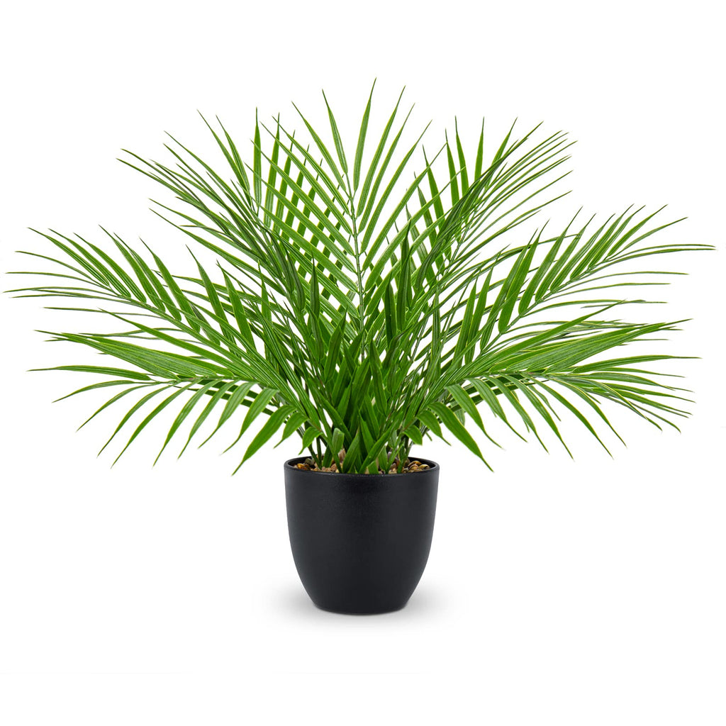 Fake Plant 15'' Artificial Palm Plant in Matte Black Pot Realistic Faux Tropical Palm Tree Houseplant Indoor Living