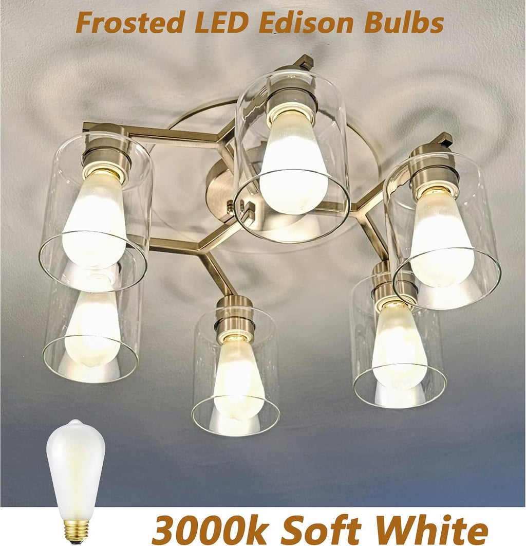 Dimmable E26 LED Bulb 40W Frosted Edison Light Bulb 3000K Soft White