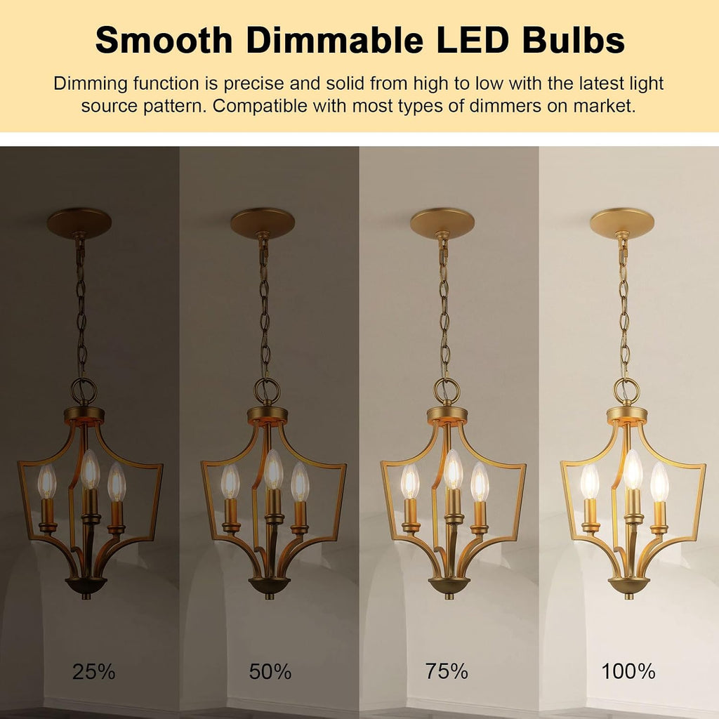E12 Candelabra Bulbs 60 Watt, Chandelier Light Bulbs LED Candle Bulb 3000K Soft White, B11 LED Bulb Dimmable 6W 500