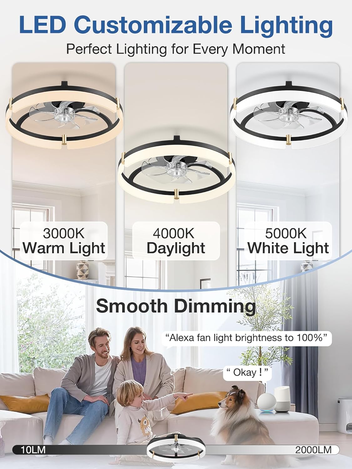20" Smart Flush Mount Ceiling Fan with Light & Remote