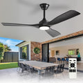 52" Black Indoor/Outdoor Ceiling Fan with Light & Remote