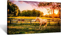 Large Size Horse of a Farm Canvas Prints Wall Art Picture Modern Sunset Landscape Wild Animal High Definition Print
