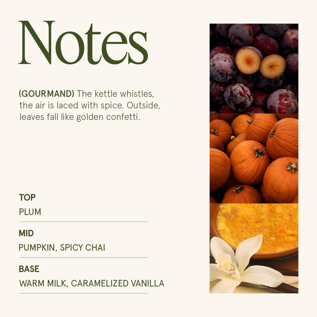 Pumpkin Chai Scented Candles, Natural Soy Wax, 55 Hrs