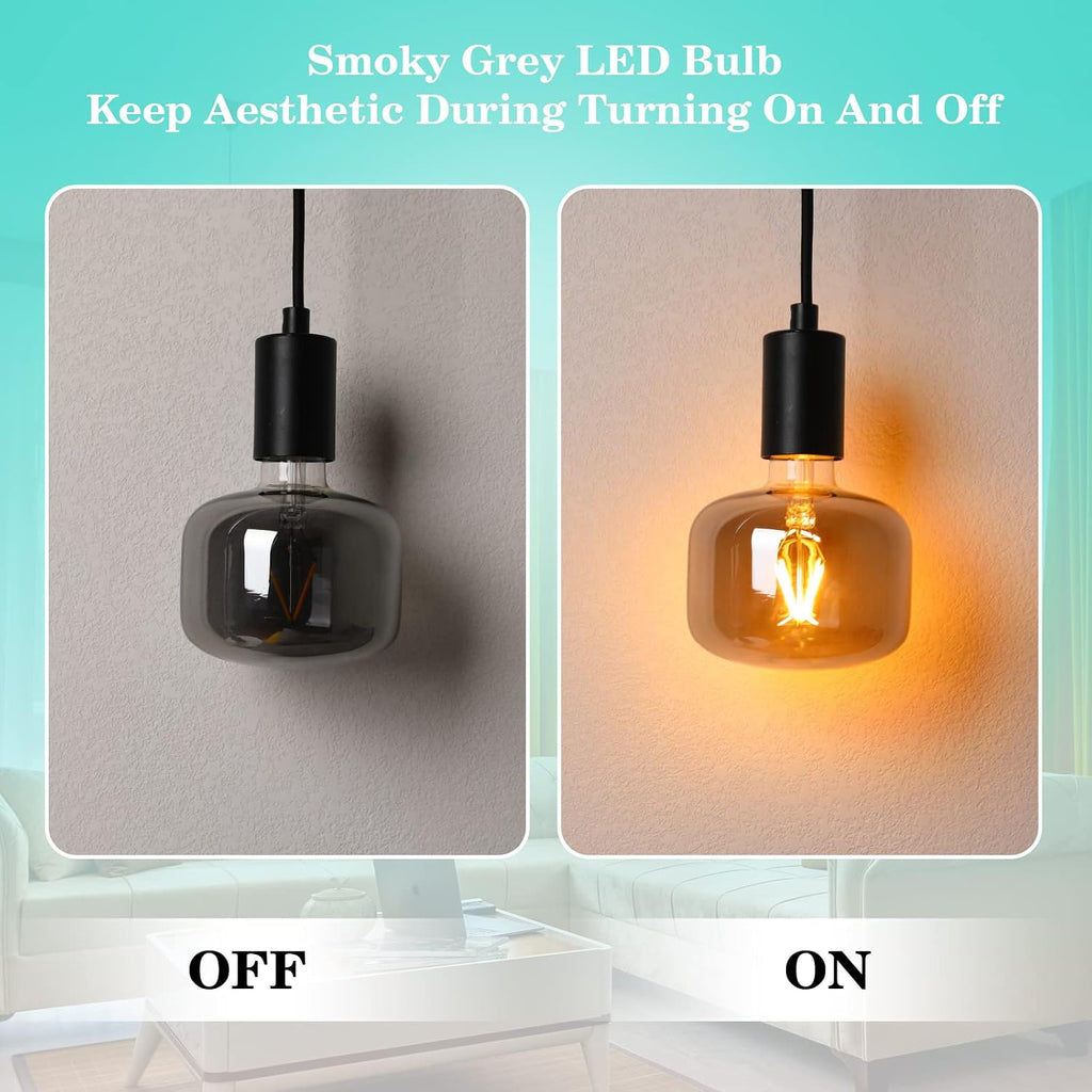 Large Edison Bulbs E26 LED,Smoky Grey 2200K Dimmable 20W Vintage 1PK