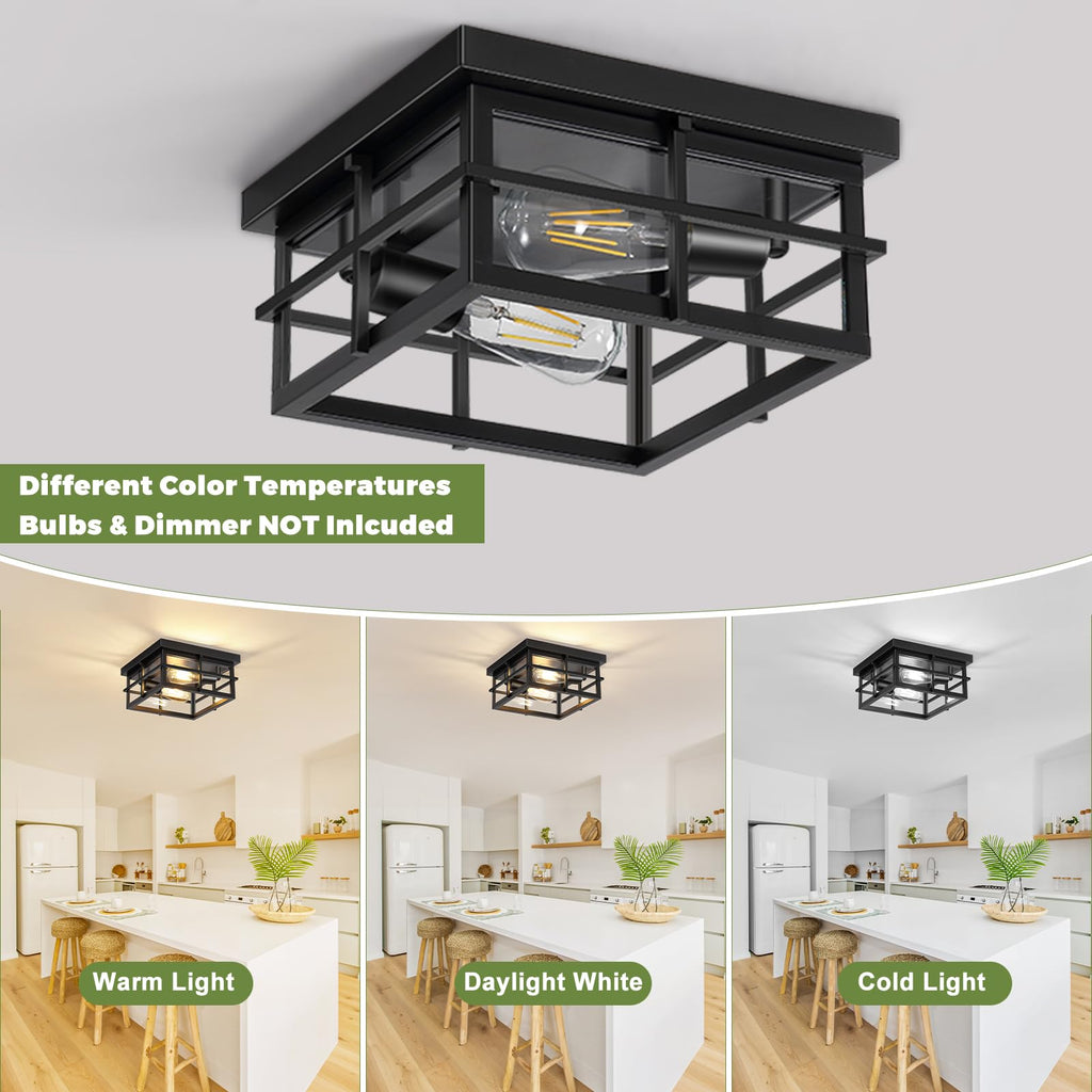 2-Light Black Flush Mount Ceiling Light, Farmhouse Kitchen Lighting Fixtures with Clear Glass, Outdoor Porch Lights