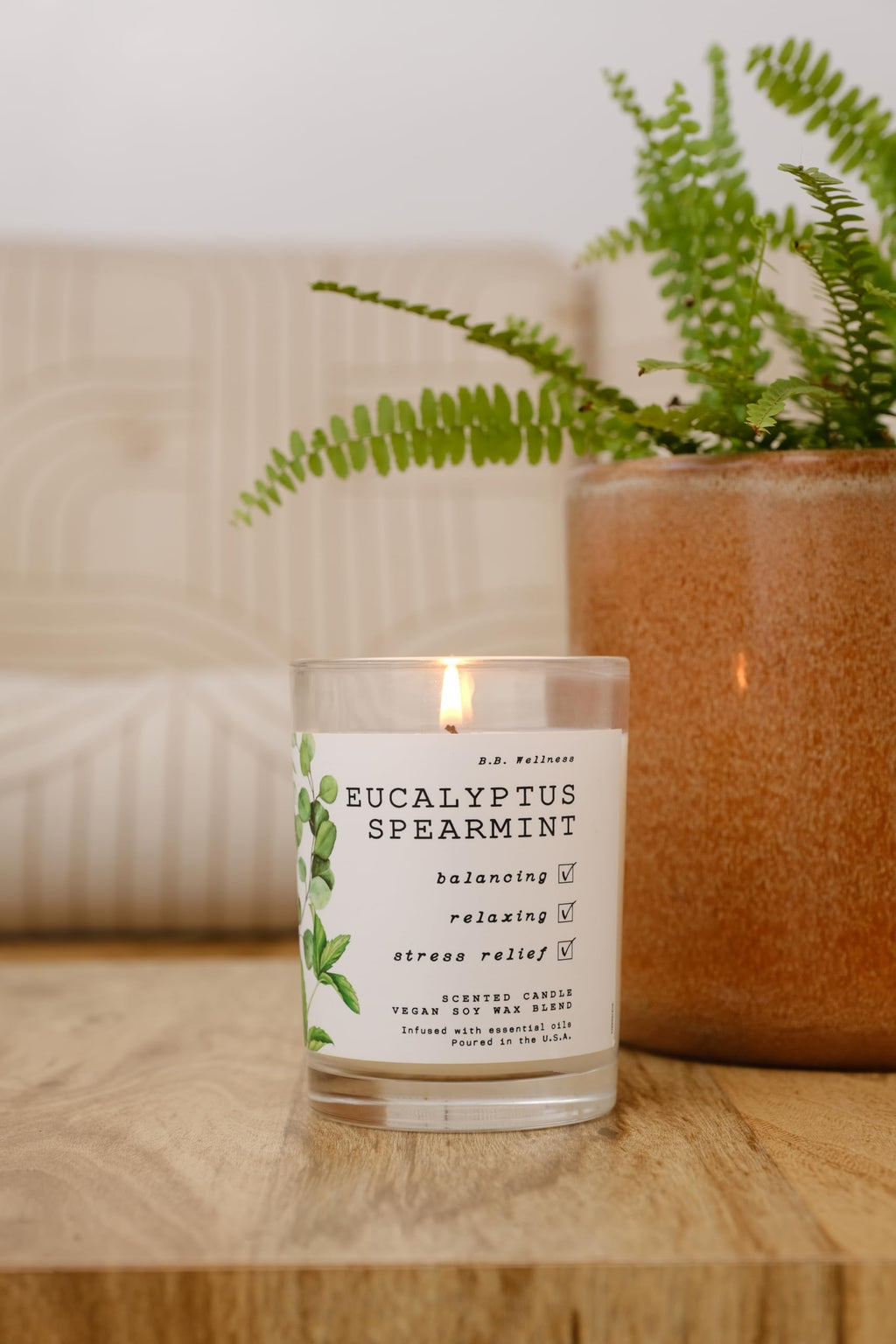 CO - Eucalyptus Spearmint Scented Candle - 9oz, B.B. Wellness Collection Design - 50 hr Burn Time - Poured in