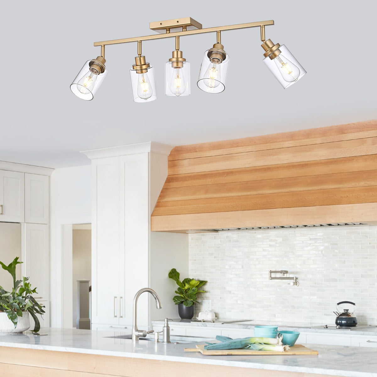 Multi-Directional Rotating Kitchen Tracking Lights Gold, Modern Track Lighting Fixture with Clear Glass