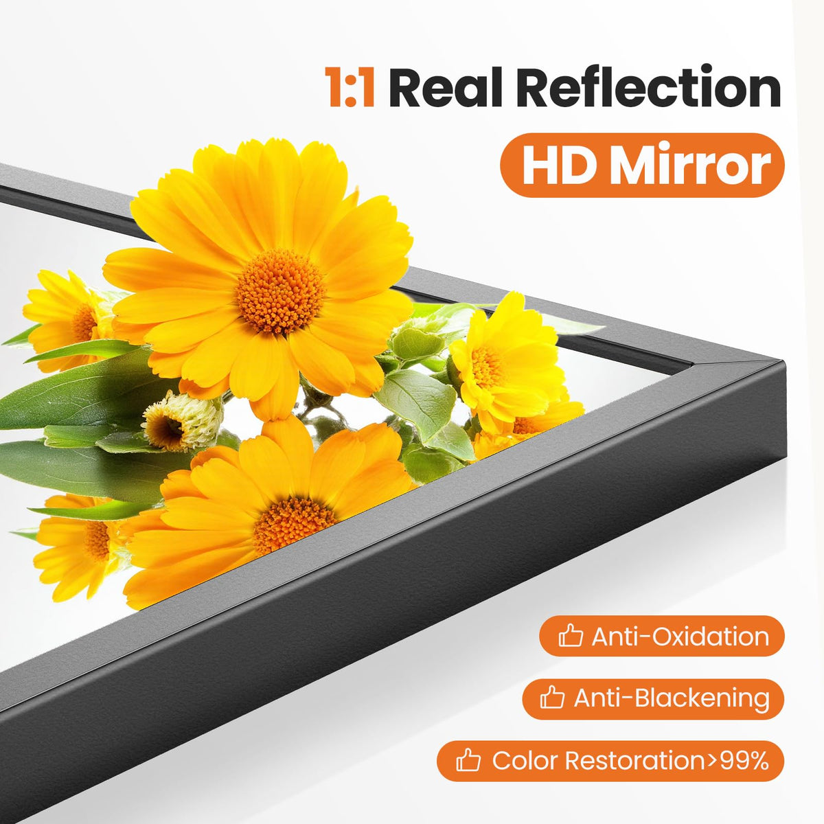 20"x30" Arched Black Bathroom Mirrors for Wall