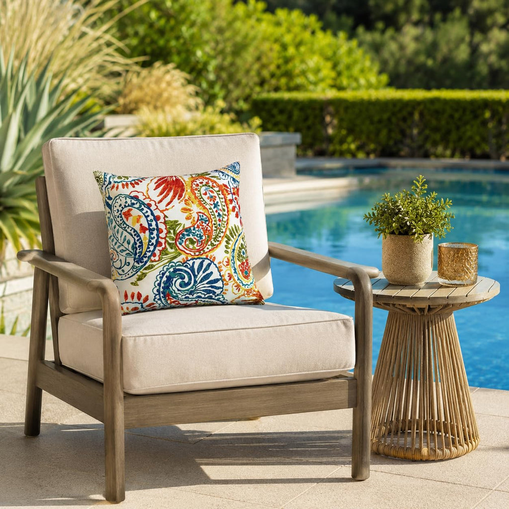 Outdoor/Indoor Throw Pillows with Inserts, 18"x18" Pack of 2