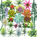 24 Pack Artificial Succulents Unpotted Succulents Plants Artificial Fake Succulents Hanging String of Pearls Small