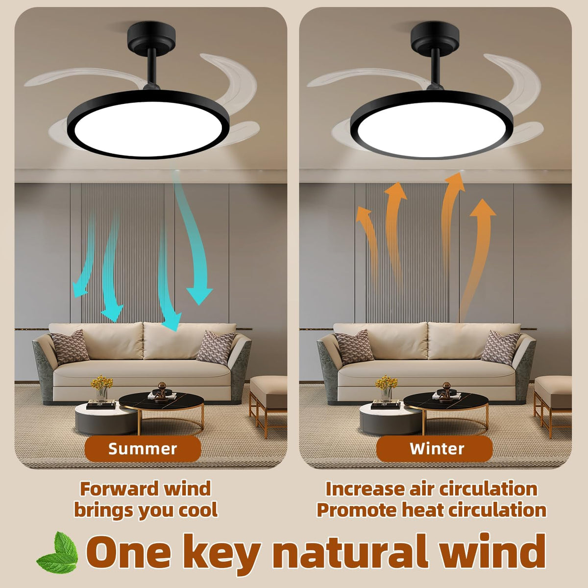 Slim Retractable Ceiling Fan with Lights and Remote/APP Control