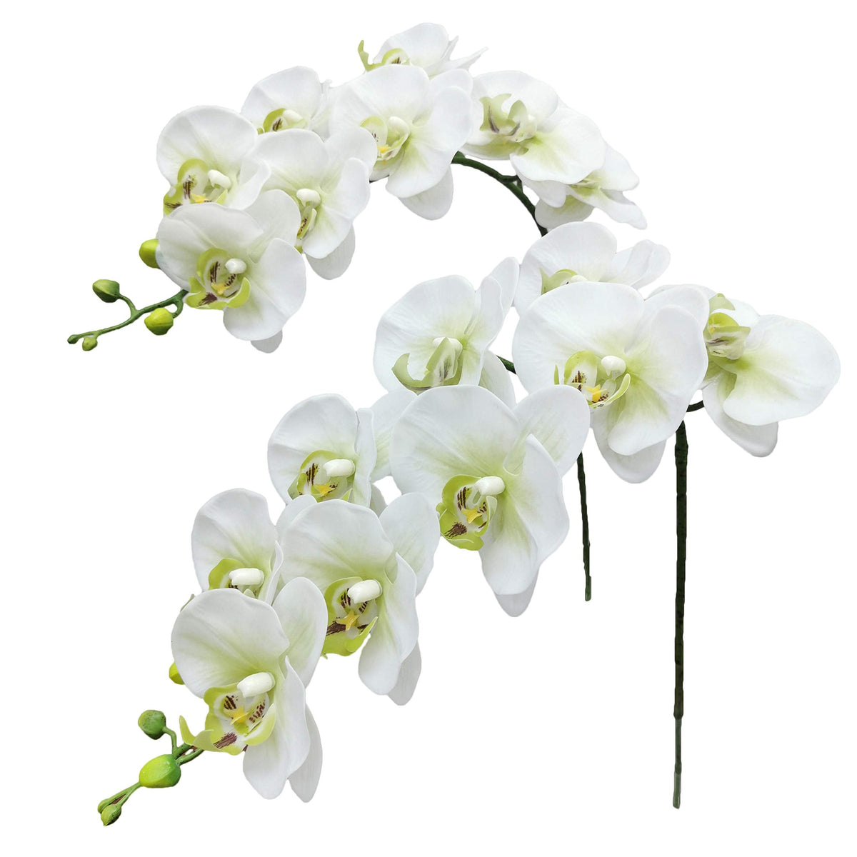 Faux Orchid Stems Real Touch Latex Green White 38 Inch 2pcs
