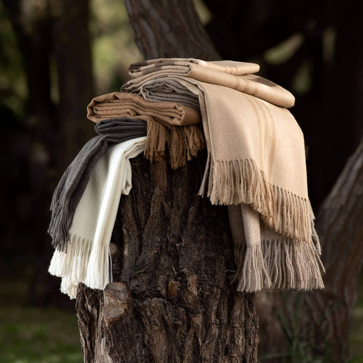 Extra Large 100% Baby Alpaca Throw - 79 x 51 - Coziness Guaranteed, Lightweight and Super Soft, ÖkoTex 100