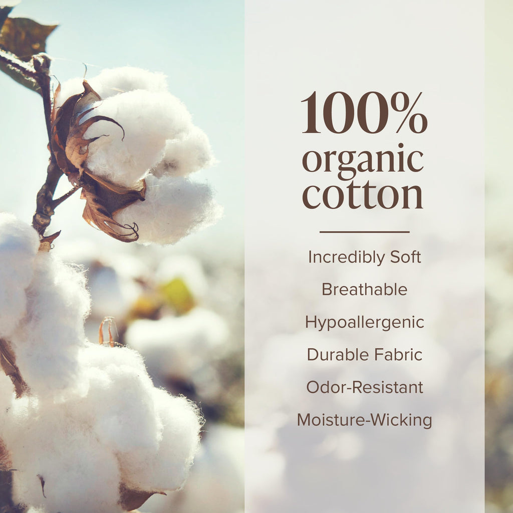 100% Organic Cotton Flannel Sheet Set (XL, Cypress)