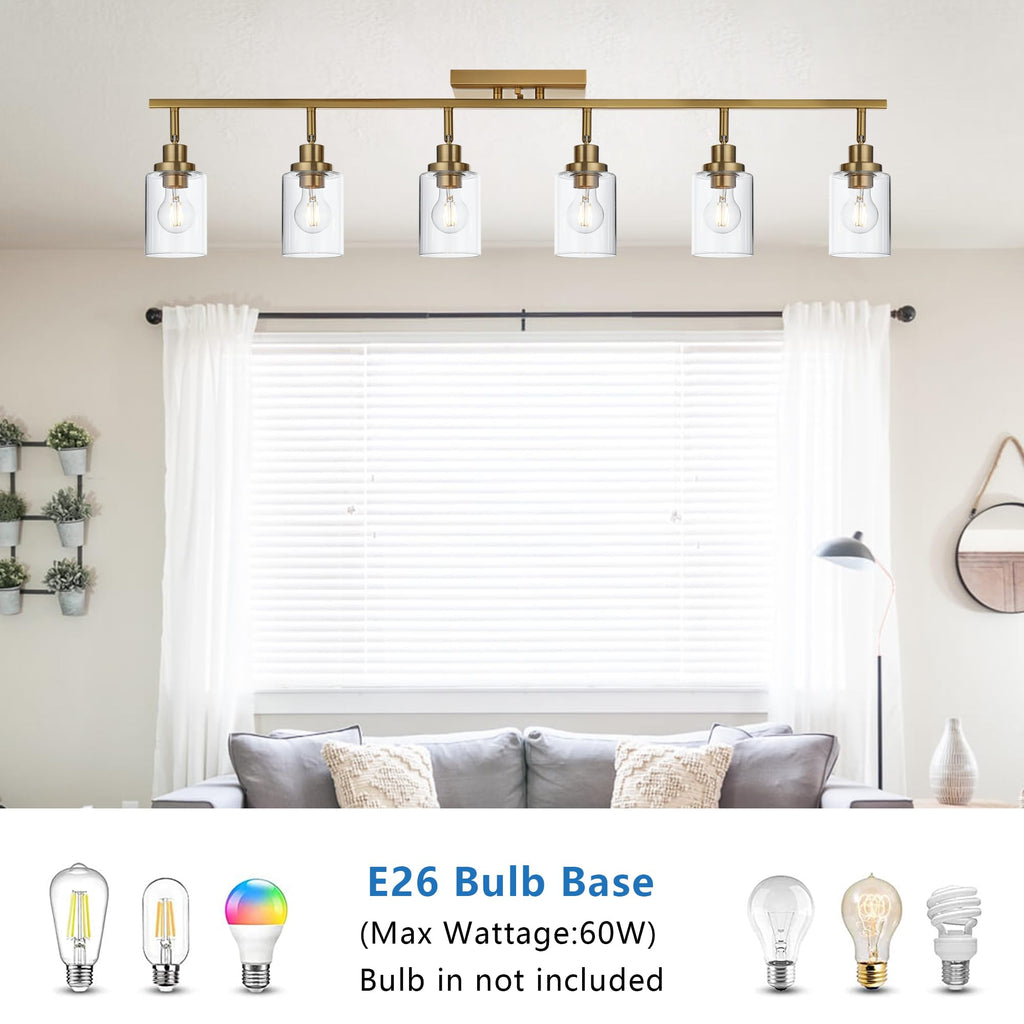 6 Light Multi-Directional Rotating Track Lighting Kit Brass