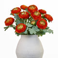 Orange Artificial Ranunculus Flowers with Real Touch Stem, Autumn Colour Ranunculus Flowers(10 Pack) (Orange)