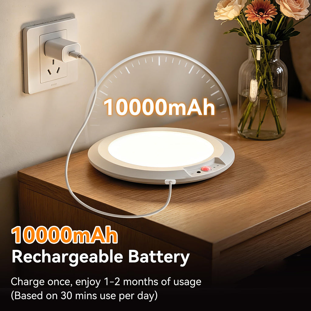 Rechargeable Ceiling Light 4 Pack, Battery Operated Motion Sensor Closet Light with Remote, 3 Color