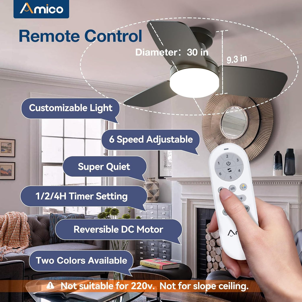 30" Black Indoor/Outdoor Flush Mount Ceiling Fan with Light & Remote