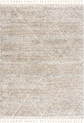 Woven Turkish Style Area Rug with Diamond Trellis Pattern and Tassels